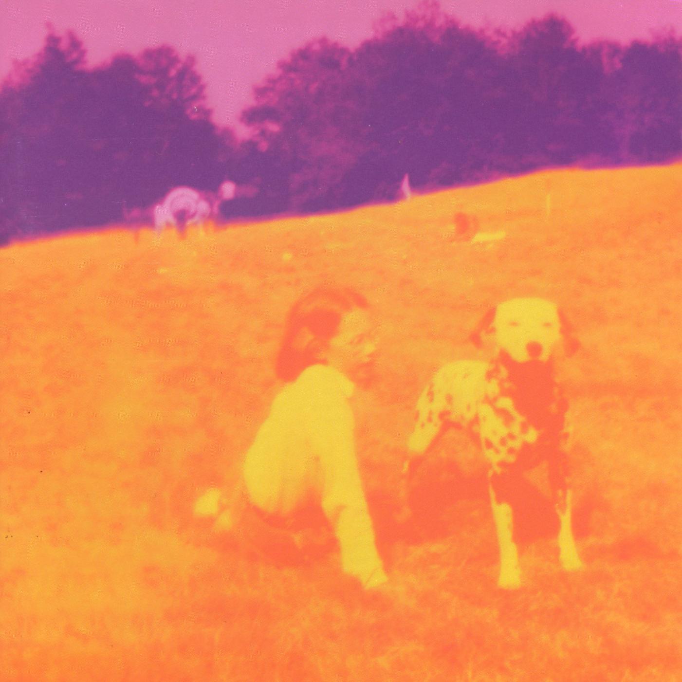 Blinking Lights and Other Revelations Album Art