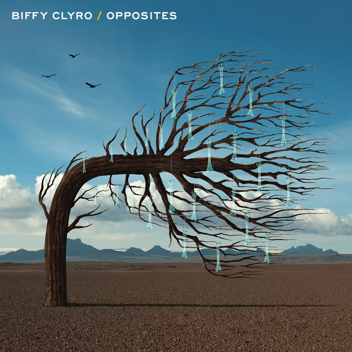Opposites Album Art