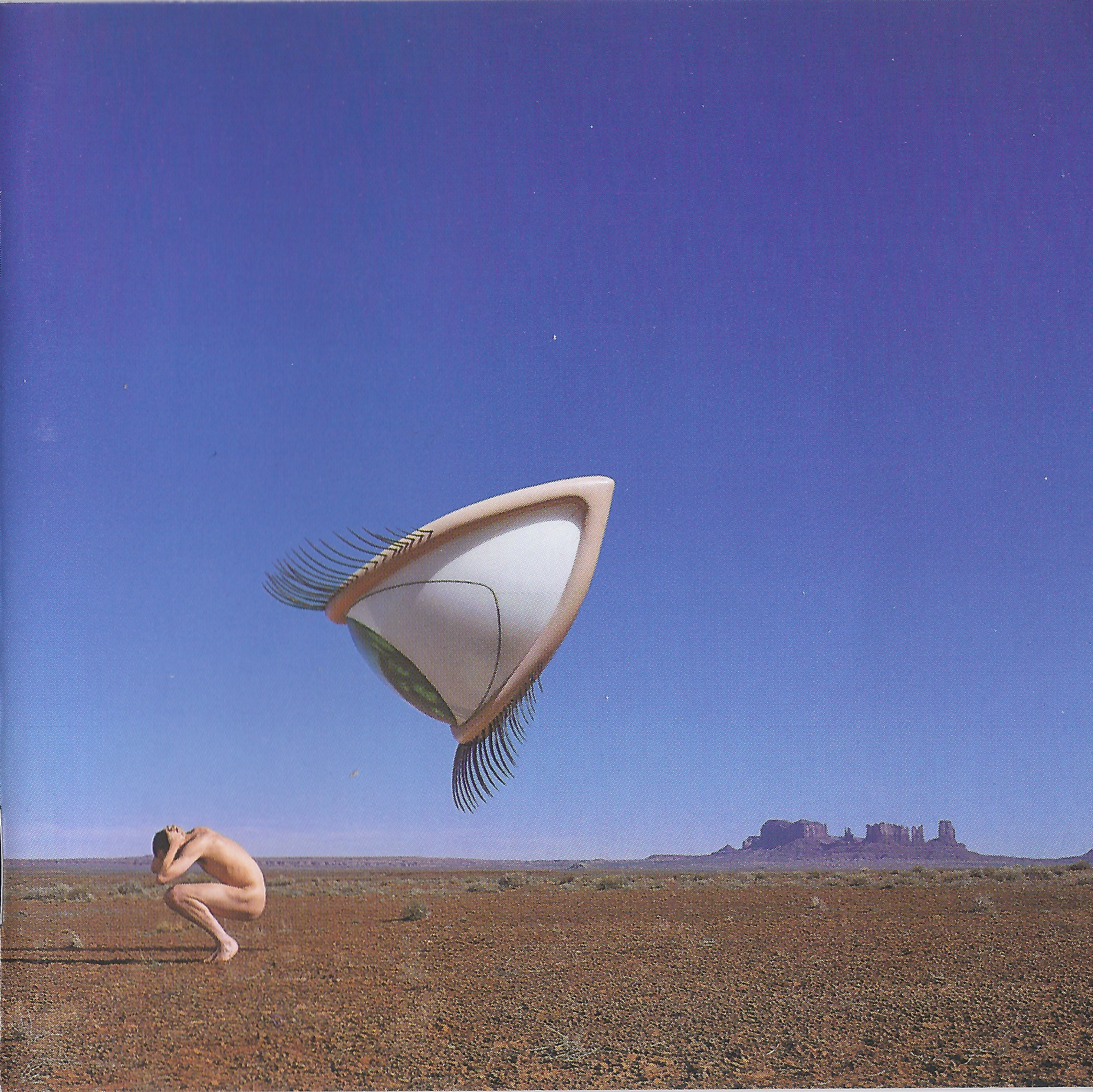 Bury The Hatchet Album Art