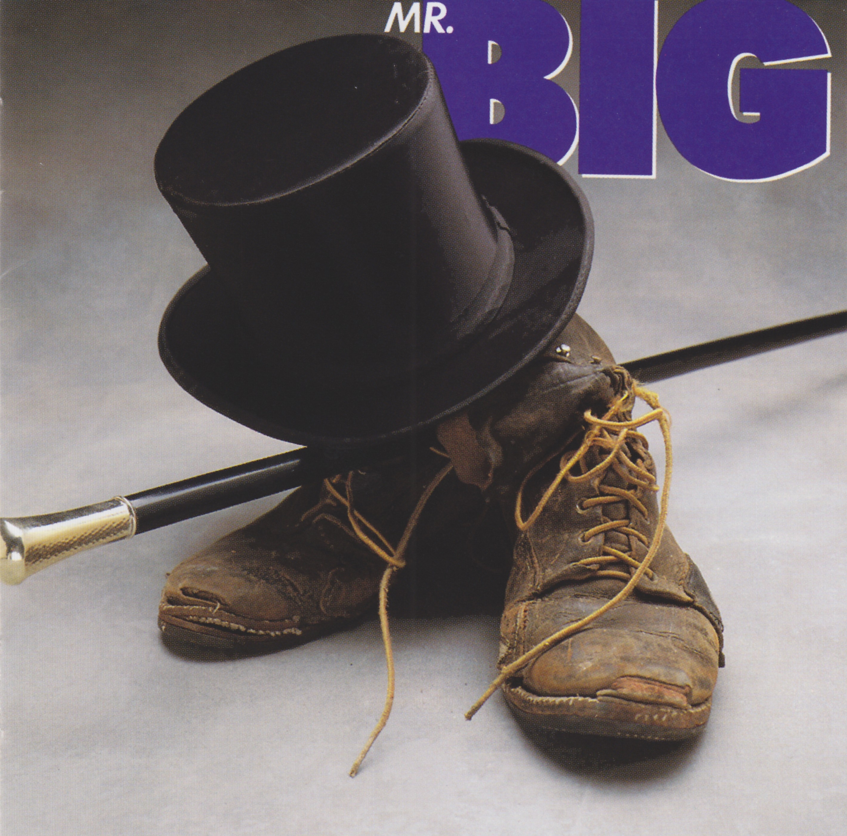 Mr. Big Album Art