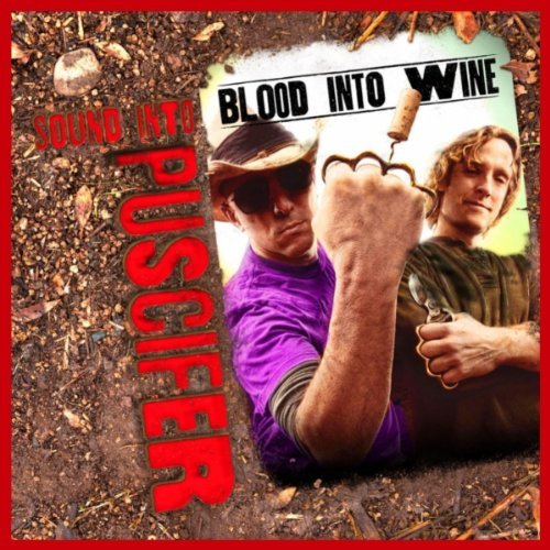 Sound Into Blood Into Wine Album Art