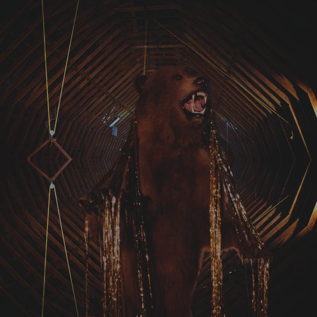 It Still Moves Album Art