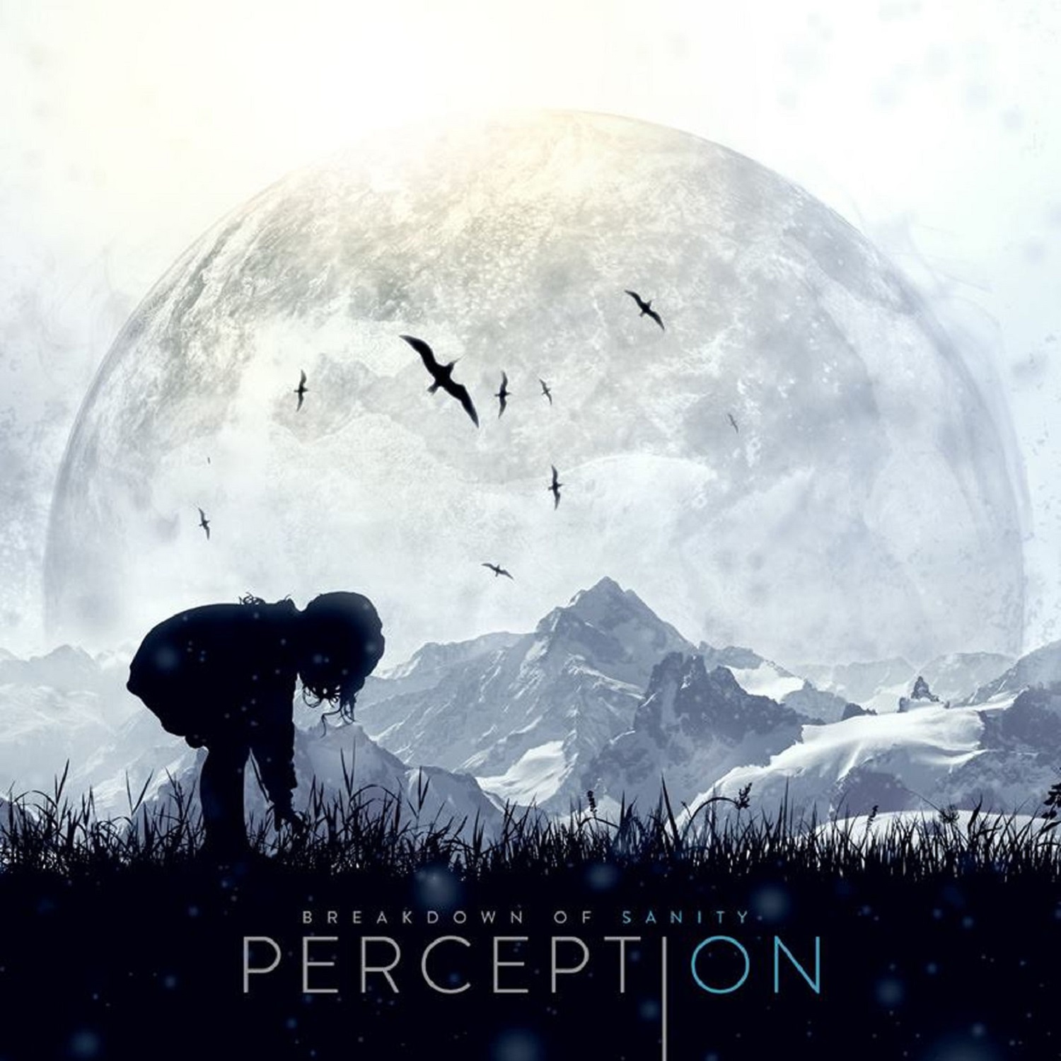 Perception Album Art